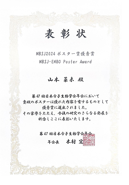 山本菜未さんが第47回日本分子生物学会年会にてMBSJ-EMBO Poster Award優秀賞を受賞