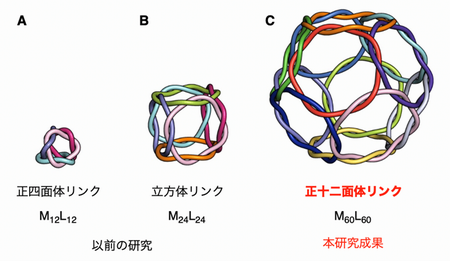 図1　ペプチド配位子と金属イオンの自己組織化で得られる多面体リンク系列